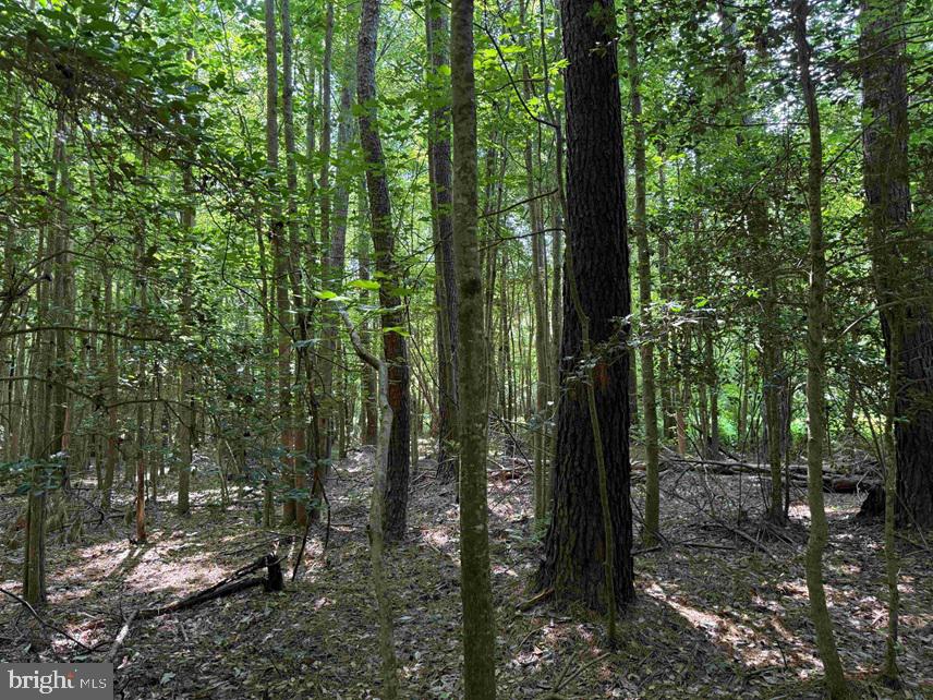 Sarecta Road Kenansville, NC 28349 - Photo 23 of 28