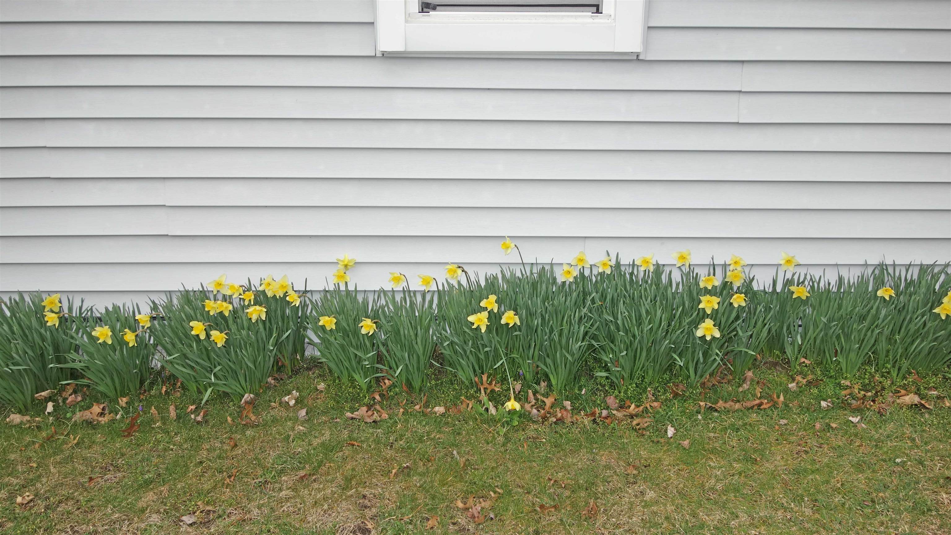 12015 Lakefield Road St. Charles, MI 48655 - Photo 33 of 42 50138105-0bedd512-b5c2-41de-947a-385b57b168a0.JPG