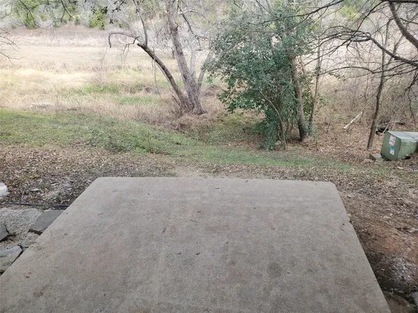 a view of a yard with a tree