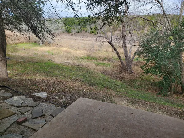a view of a yard with a tree