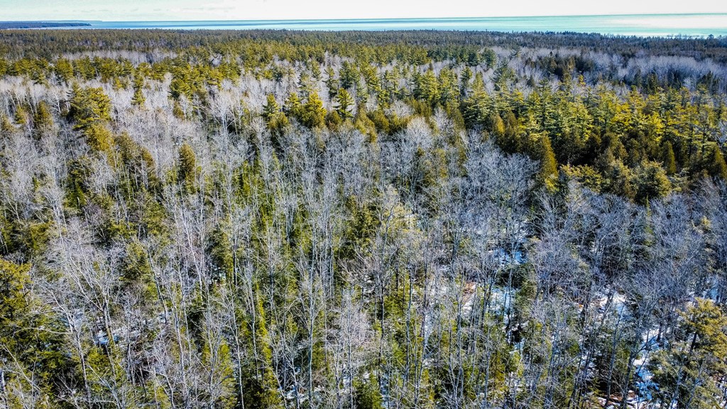 County Road Baileys Harbor, WI 54202 - Photo 4 of 11
