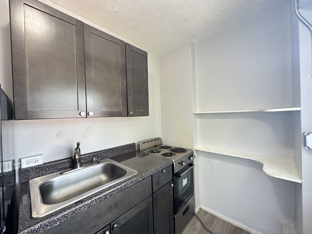 7333 North Ridge Boulevard, Unit 510 Chicago, IL 60645 - Photo 4 of 21 a kitchen with a sink and cabinets