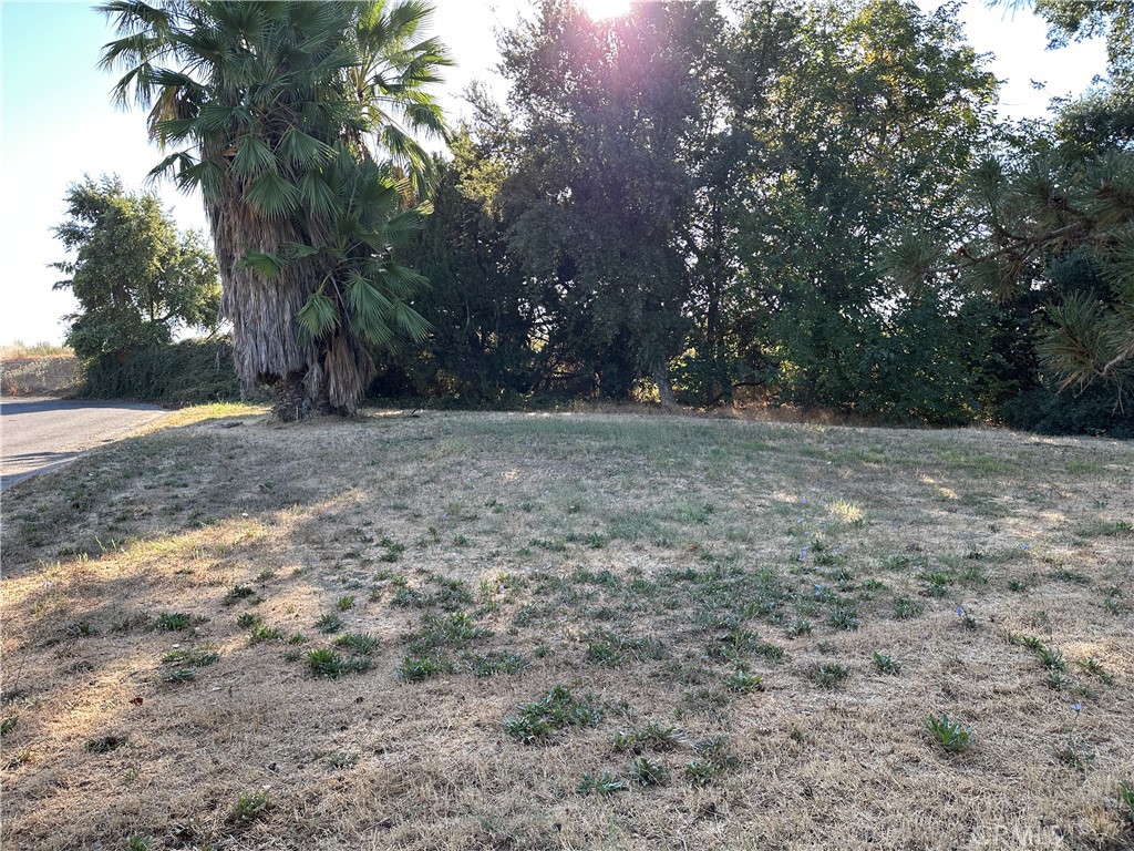 0 East Oak Street Willows, CA 95988 - Photo 2 of 4 a view of a yard with a tree