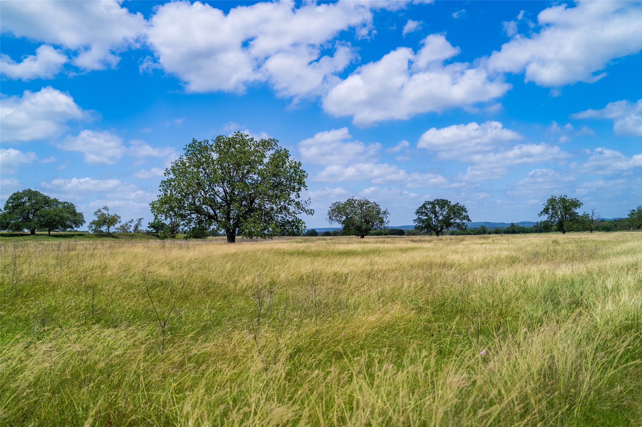 302 Hye-Albert Road Hye, TX 78635 - Photo 16 of 34 View of nature featuring rural landscape