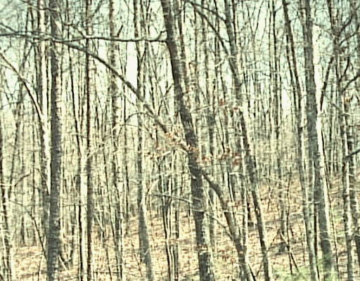 7802 Lake Ridge Hixson, TN 37343 - Photo 1 of 1 Primary Photo