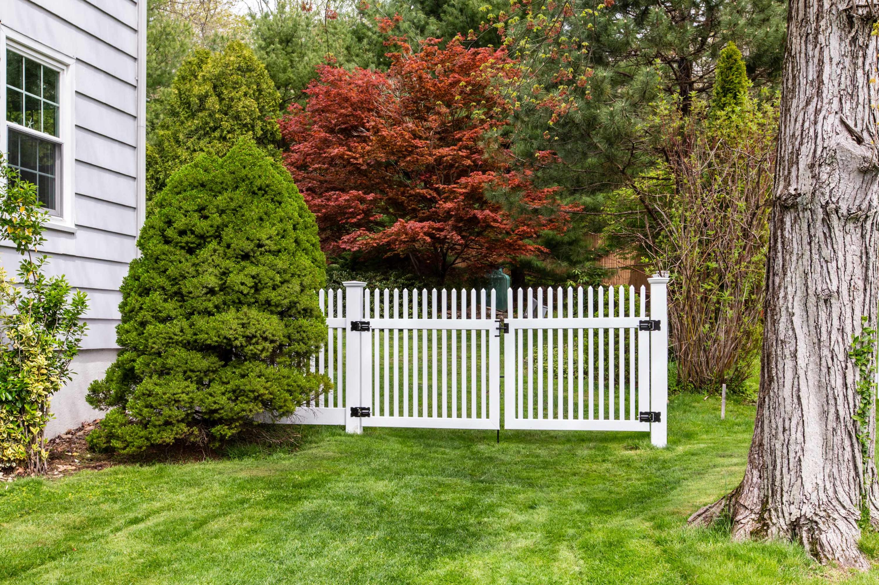 49 Country Club Road Darien, CT 06820 - Photo 24 of 30 a view of a yard with swing plants and wooden fence