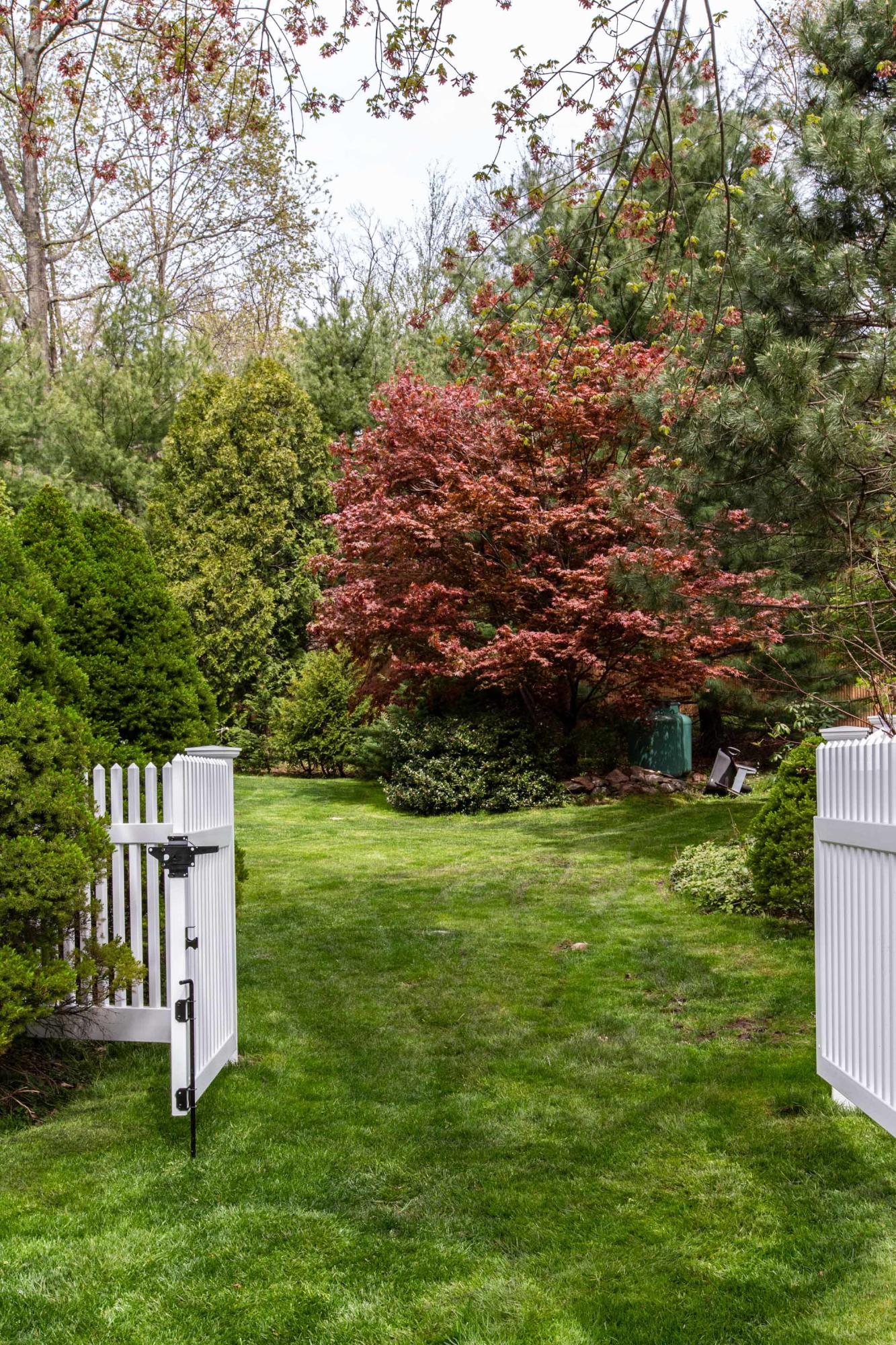 49 Country Club Road Darien, CT 06820 - Photo 25 of 30 a backyard of a house with lots of green space