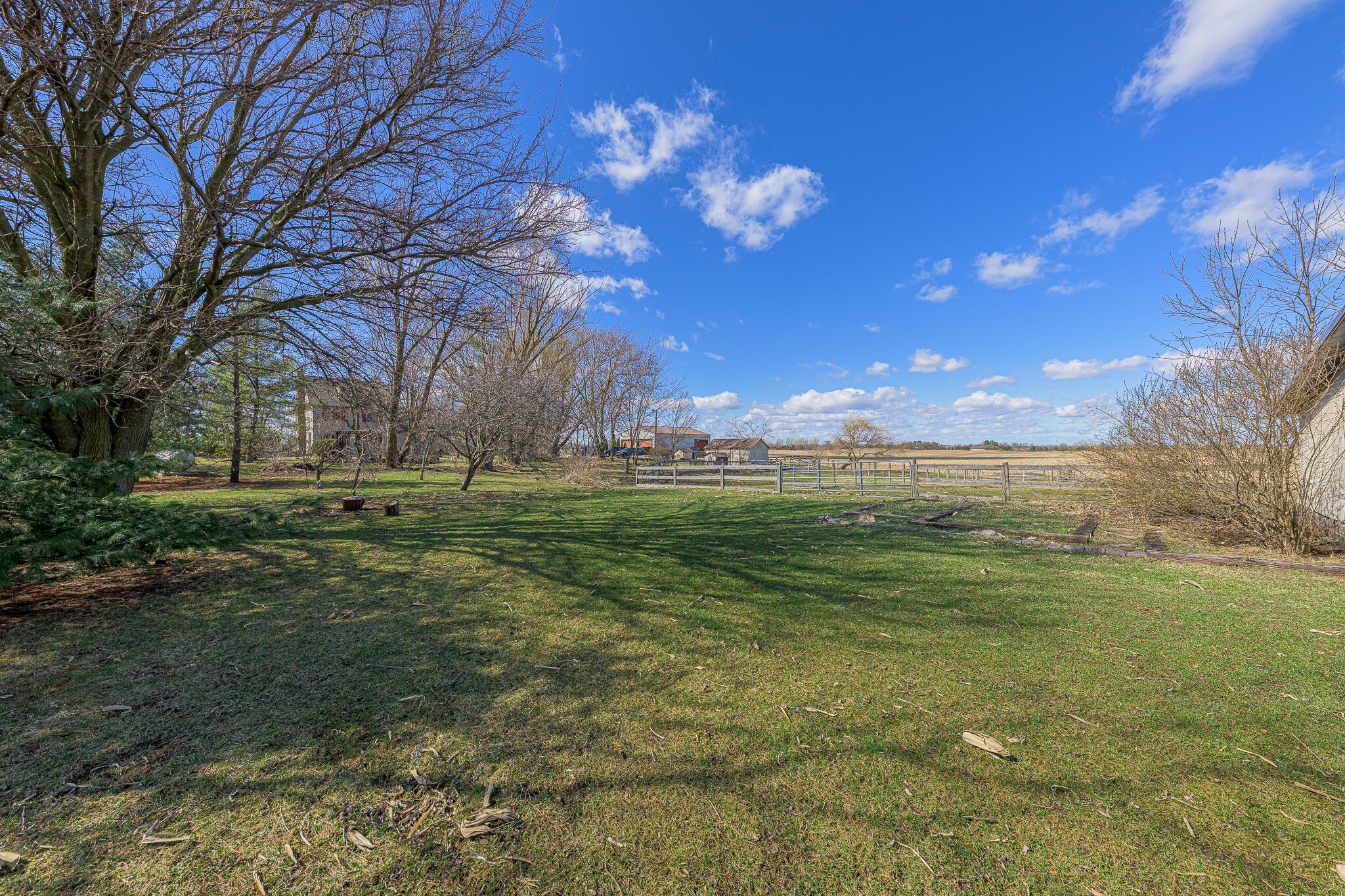 13161 Stateline Road Cedar Lake, IN 46303 - Photo 25 of 30 a backyard of a building with lots of green space and trees