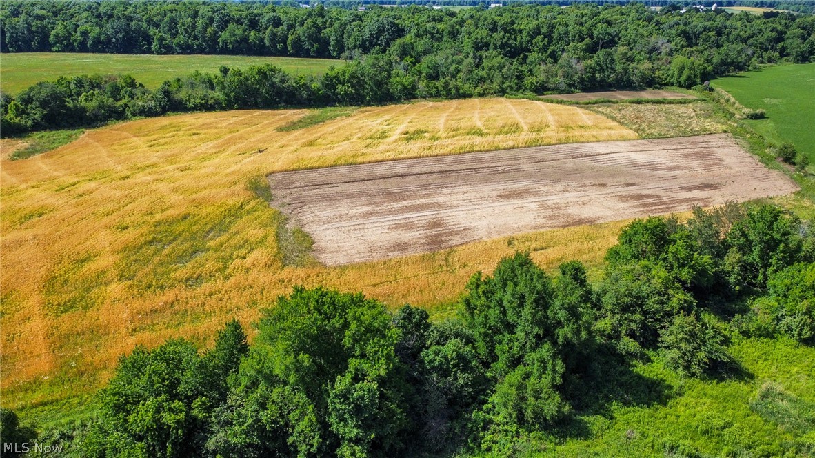 Holshoe Road Homerville, OH 44235 - Photo 7 of 28