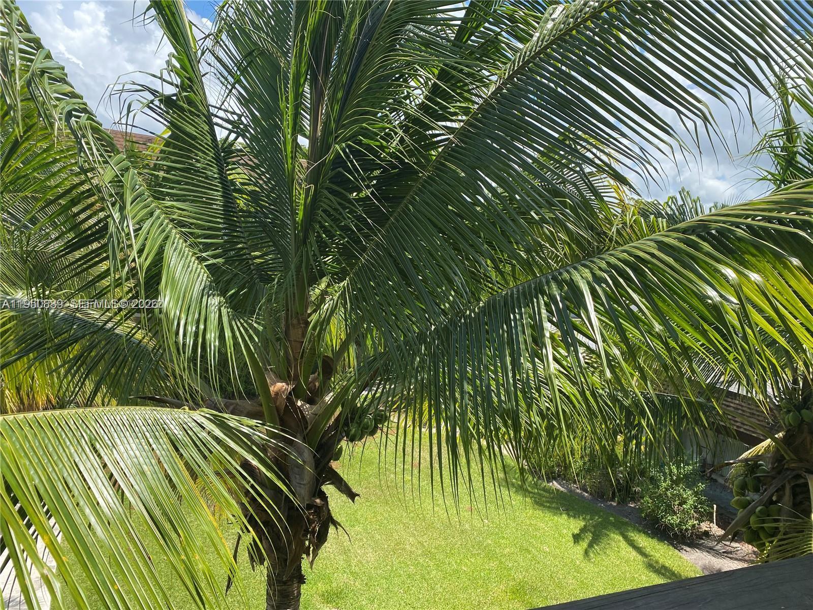 7477 Southwest 82nd Street, Unit C309 Miami, FL 33143 - Photo 17 of 21