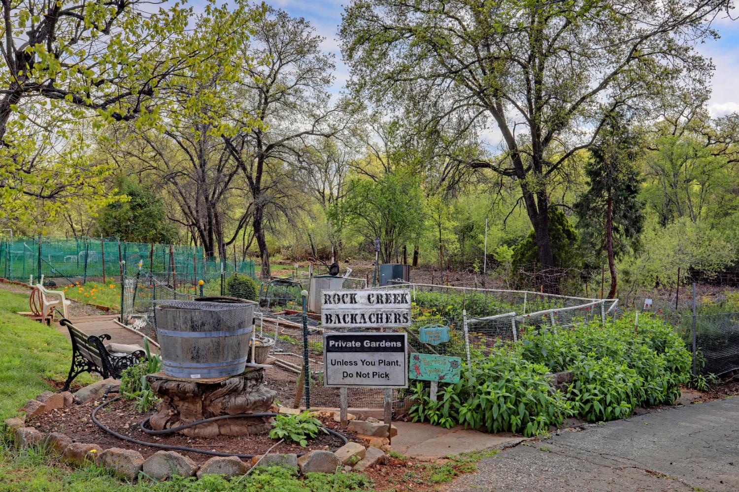 3765 Grass Valley Highway, Unit 263 Auburn, CA 95602 - Photo 38 of 38 a view of a garden with plants and large trees