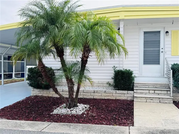 a view of a backyard house with potted plants