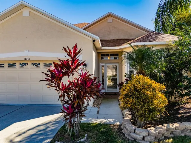 a potted plant sitting in front of a house