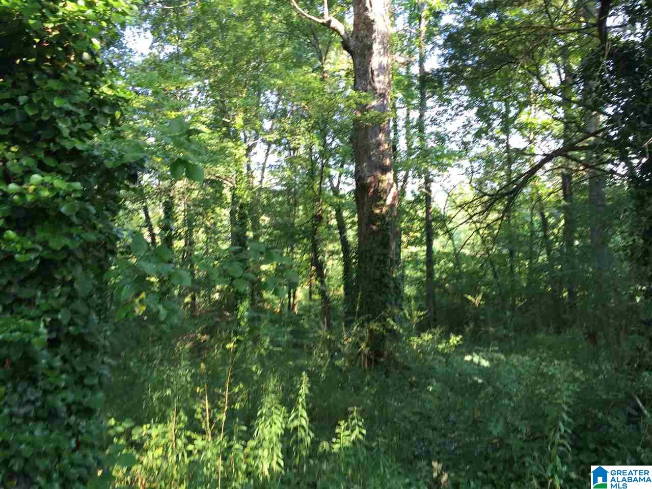 2089 Gate 8 Road Anniston, AL 36201 - Photo 13 of 16
