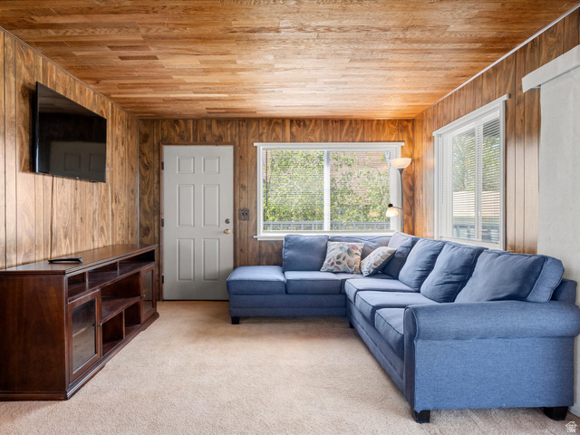 85 B Street, Unit 22 St. Charles, ID 83272 - Photo 17 of 35 Living area featuring wood walls and ceiling