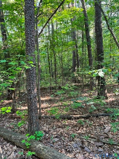 16117 West Patrick Henry Road Montpelier, VA 23192 - Photo 4 of 10