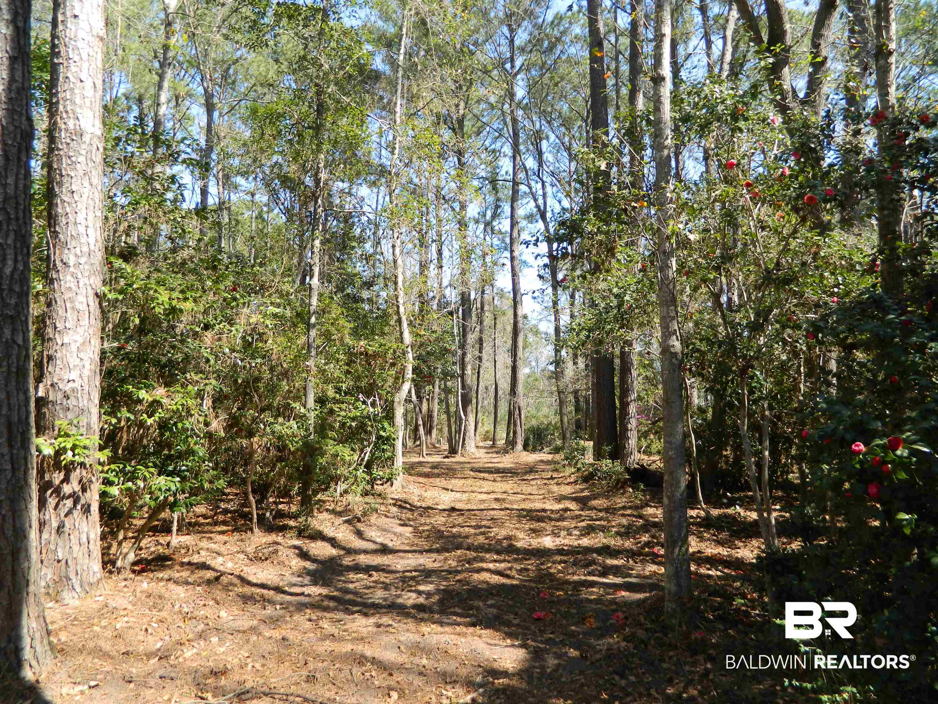 Riverview Nursery Road Theodore, AL 36582 - Photo 10 of 24
