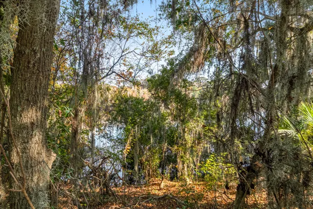 $865,000 | 1616 Florentia St Mount, Mount Pleasant, SC 29464