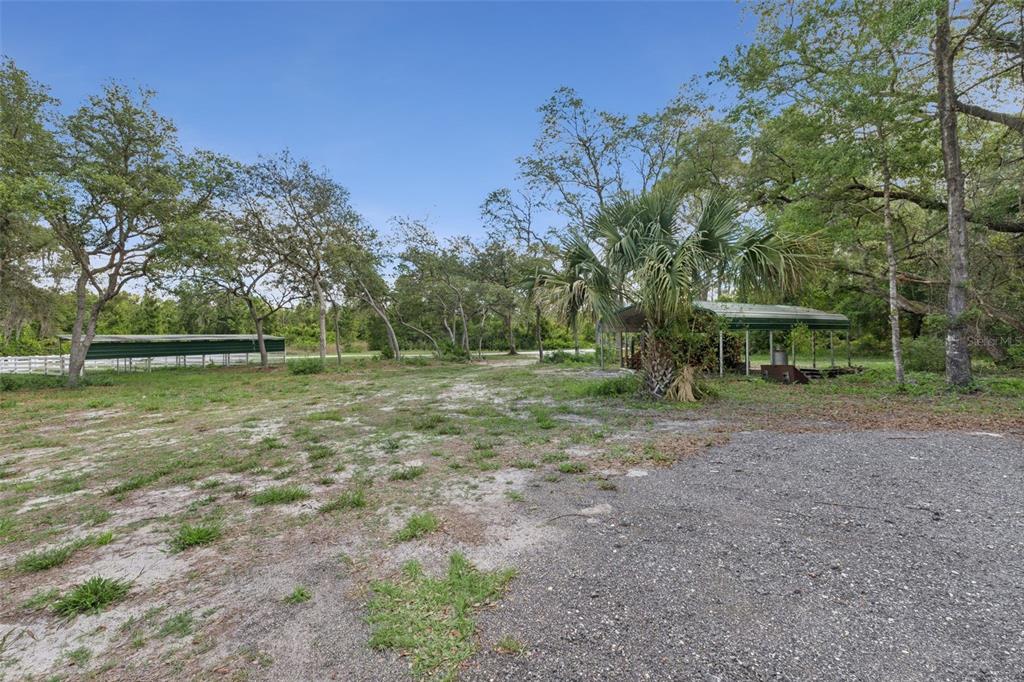 1140 Buckles Road Pierson, FL 32180 - Photo 28 of 39 a view of a field with large trees