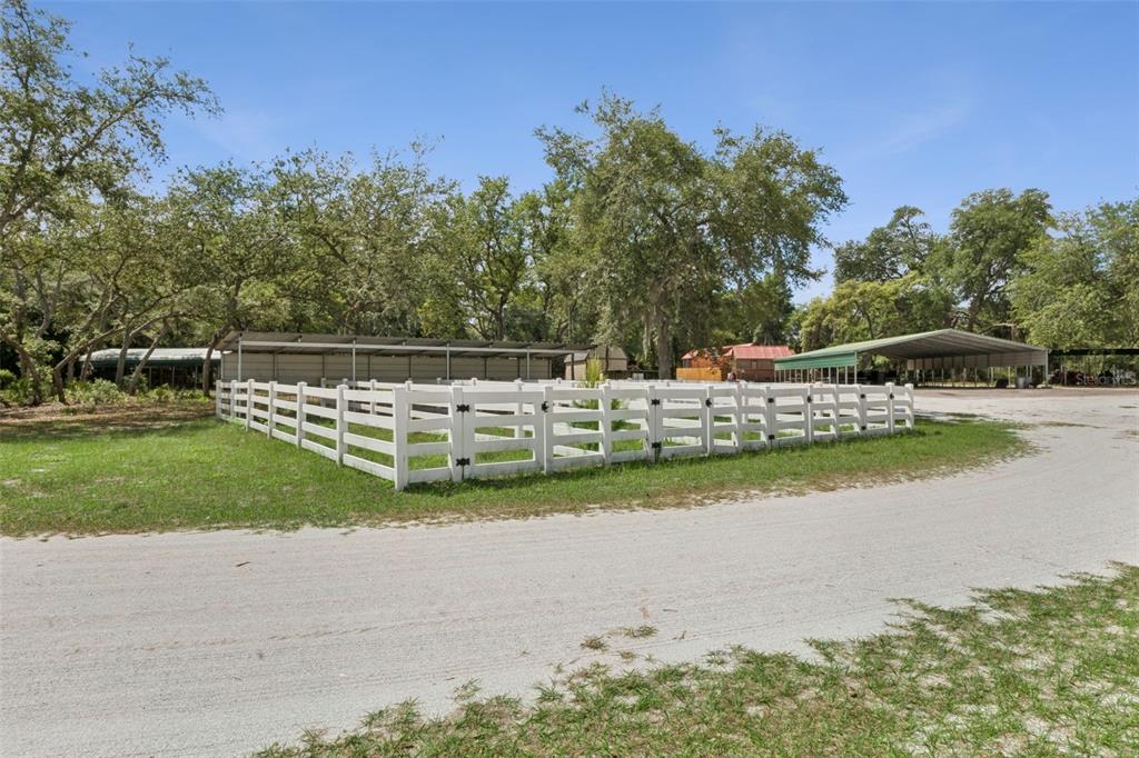 1140 Buckles Road Pierson, FL 32180 - Photo 30 of 39 a view of swimming pool with yard