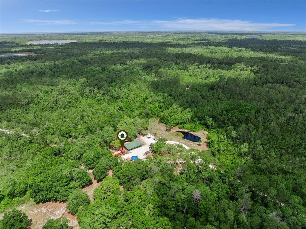 1140 Buckles Road Pierson, FL 32180 - Photo 3 of 39 a view of a lush green forest with lots of trees