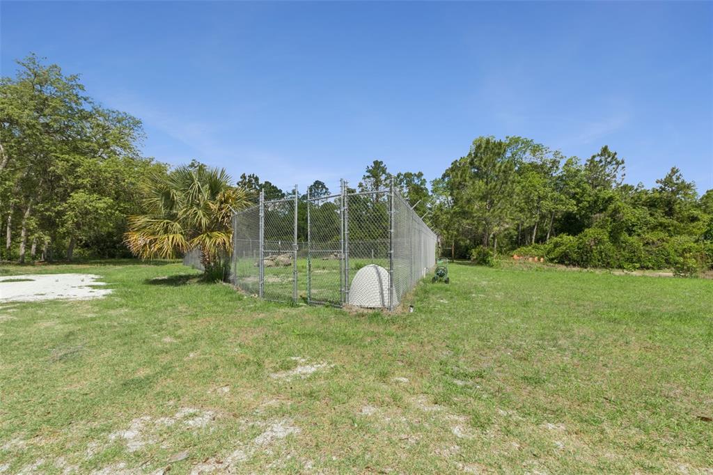 1140 Buckles Road Pierson, FL 32180 - Photo 31 of 39 a view of a garden with a tree