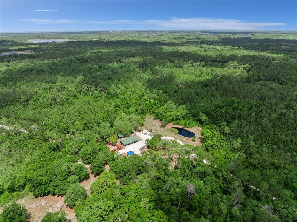 1140 Buckles Road Pierson, FL 32180 - Photo 35 of 39 a view of a lush green outdoor space with a swimming pool and valleys in the background
