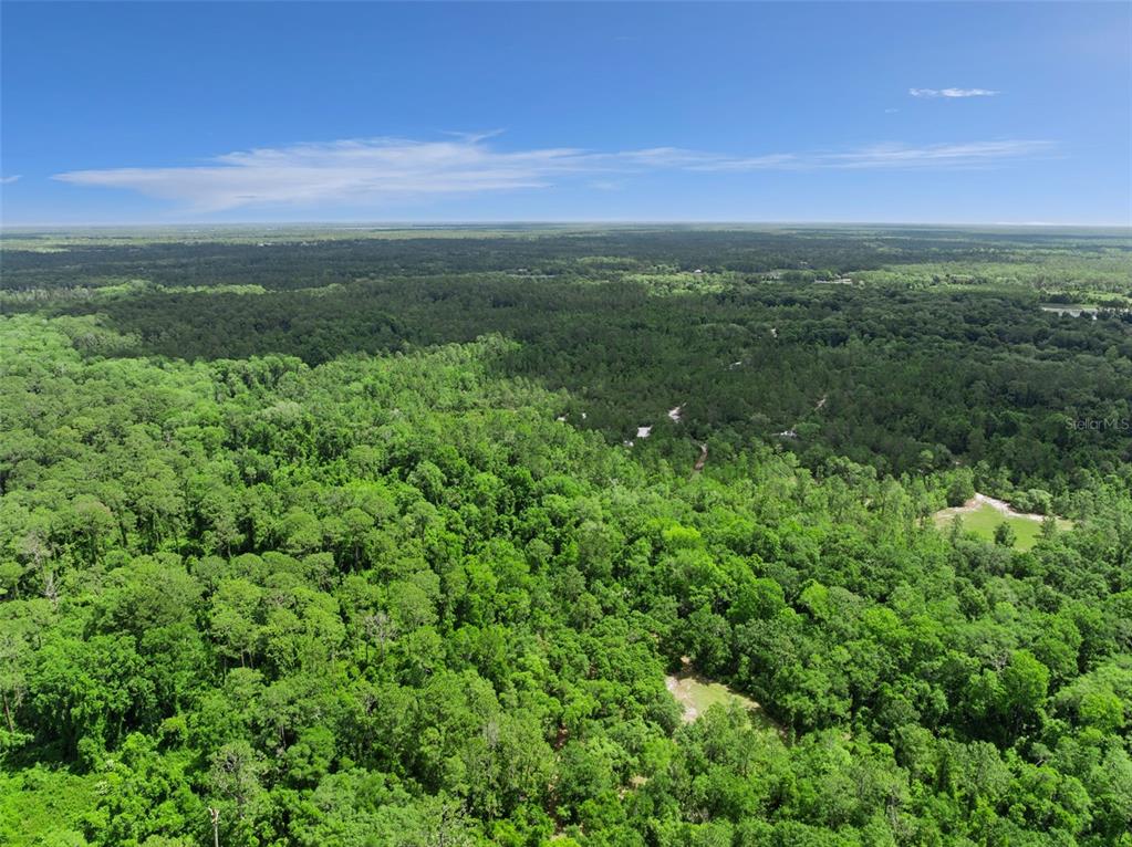 1140 Buckles Road Pierson, FL 32180 - Photo 37 of 39 a view of a green field with lots of bushes