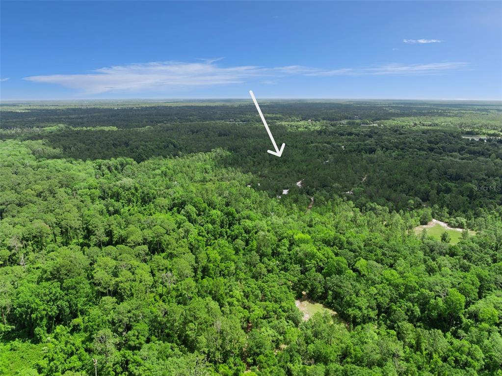1140 Buckles Road Pierson, FL 32180 - Photo 38 of 39 a view of a green field with lots of bushes