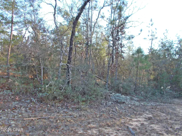 $15,000 | Lot 11 Rim Court, Unit 3, Marianna, FL 32448