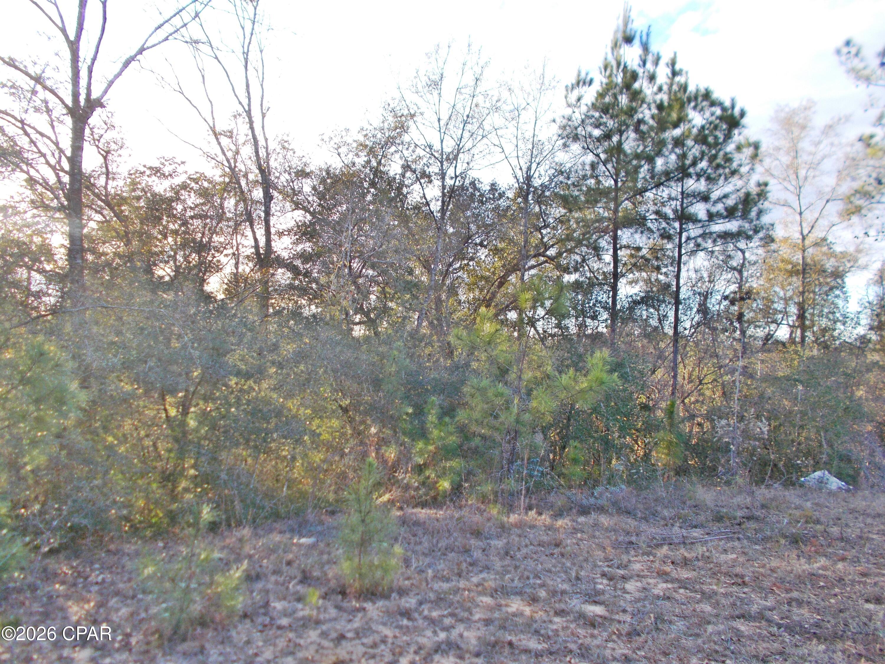 Lot 11 Rim Court, Unit 3 Marianna, FL 32448 - Photo 3 of 3