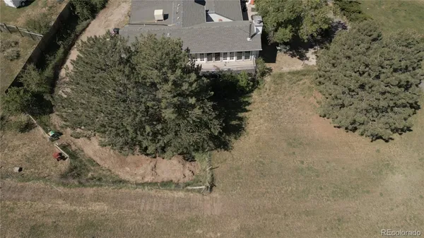 a view of a yard with plants and brick wall