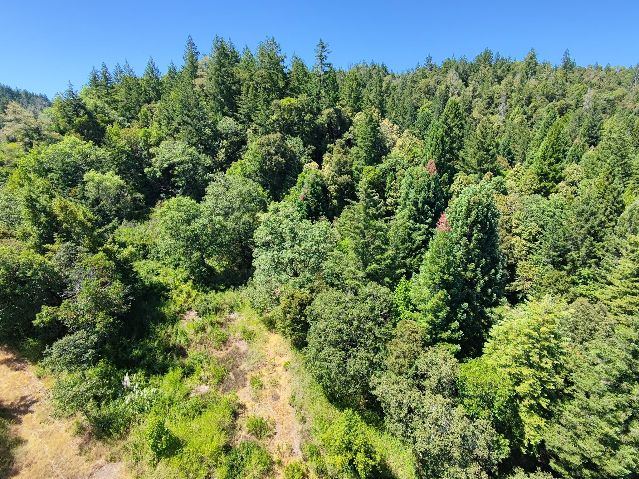 308 West Coast Road Redway, CA 95560 - Photo 10 of 56