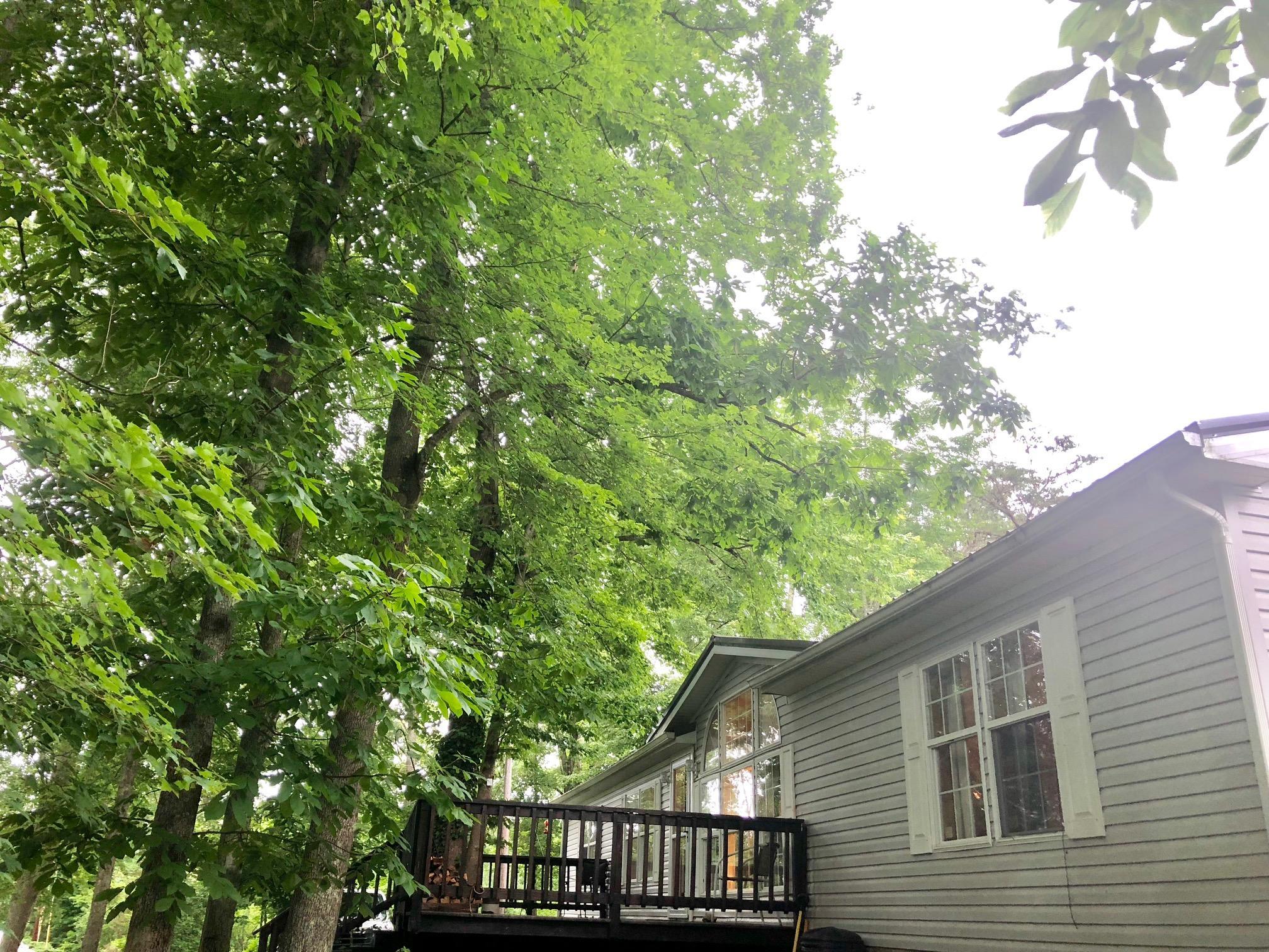 1888 Adelphia State Road Wellston, OH 45692 - Photo 24 of 29