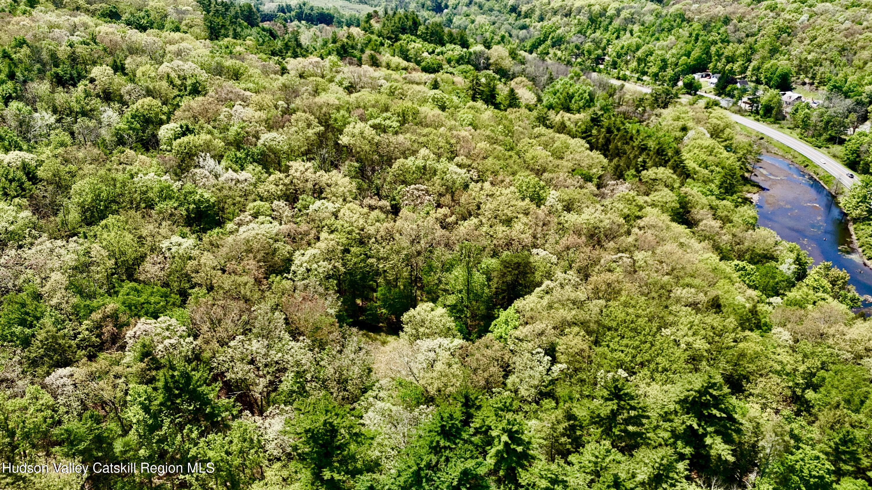 0 Depot Road Wurtsboro, NY 12790 - Photo 10 of 10 1779209951086