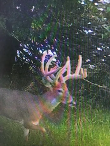 a view of a livingroom with a ceiling fan and wooden floor
