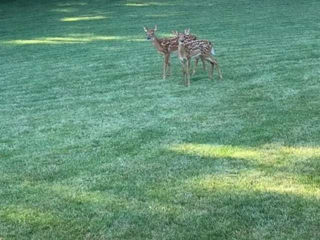 $529,900 | 5897 Country Meadow Lane, Clinton, IL 61727