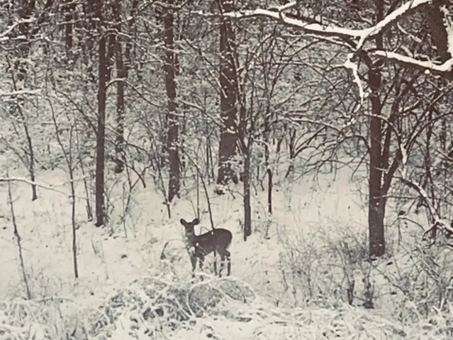 $549,000 | 5897 Country Meadow Lane, Clinton, IL 61727