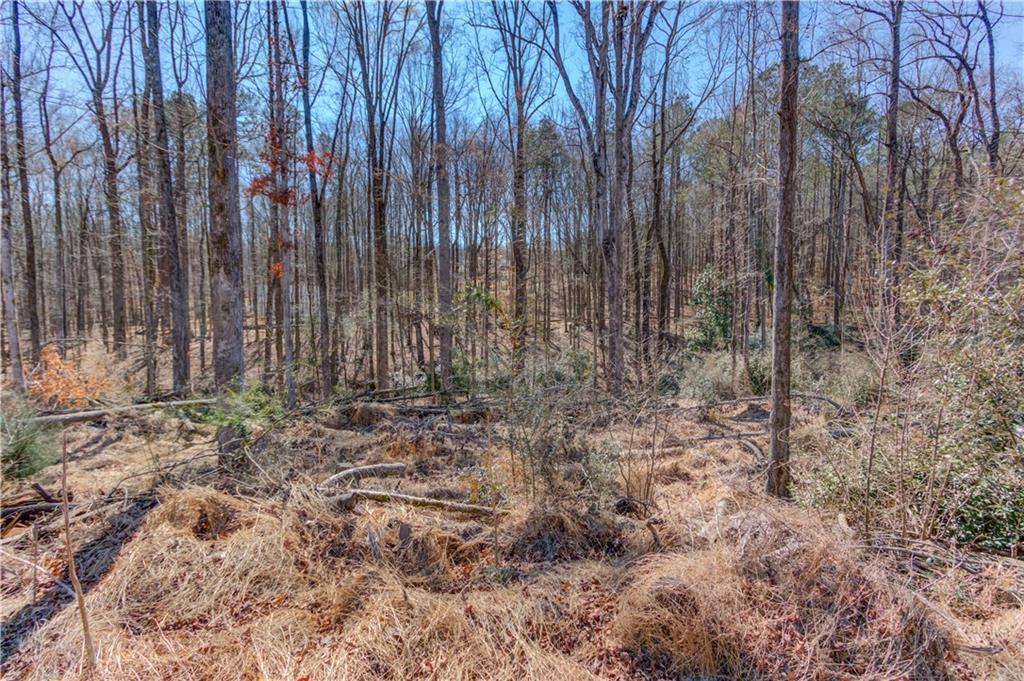 362 Dixie Red Avenue Jefferson, GA 30549 - Photo 24 of 31