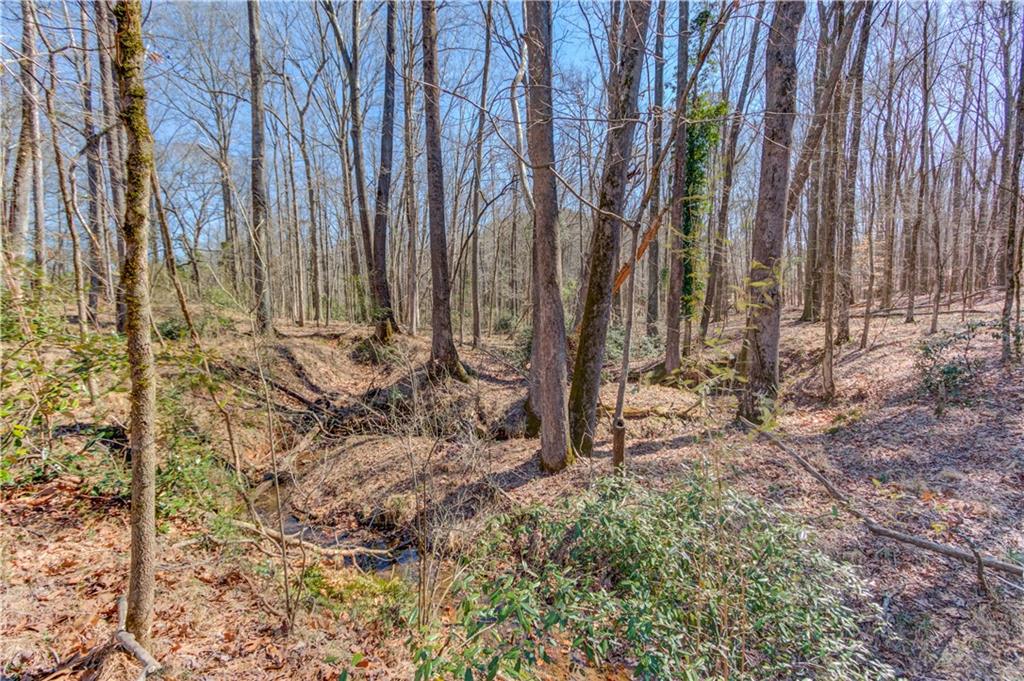 362 Dixie Red Avenue Jefferson, GA 30549 - Photo 25 of 31