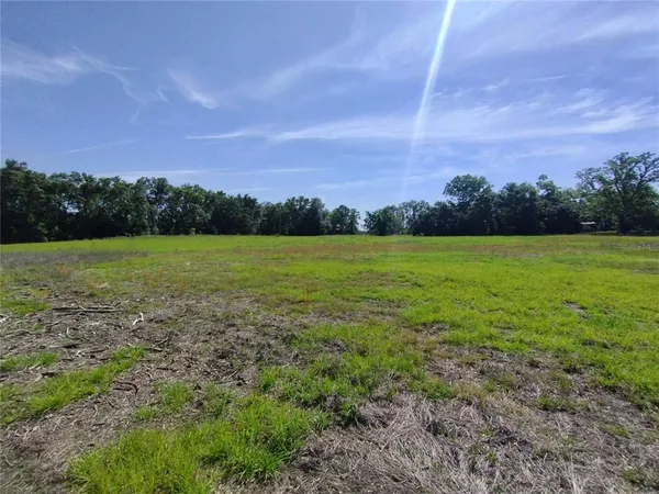 a view of field with trees in the background