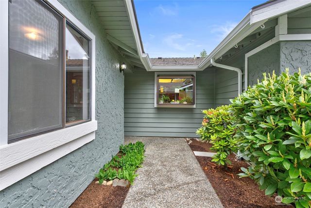 a view of a backyard with potted plants