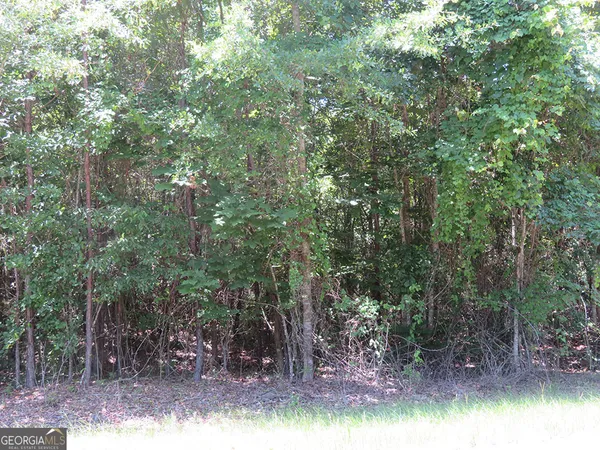 a view of a forest with trees in the background