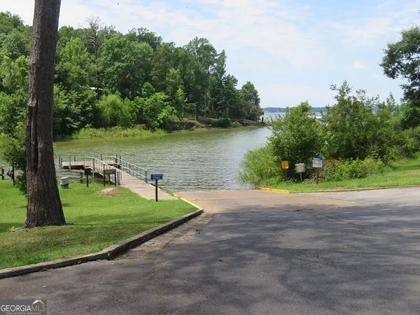 a view of a park with large trees