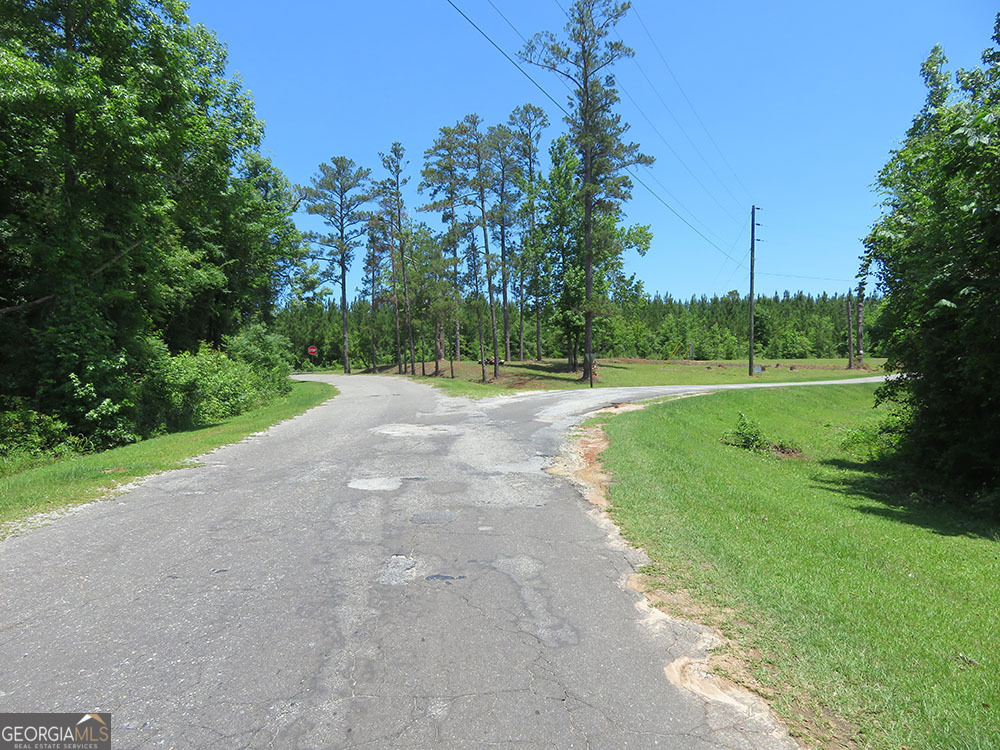 1 Cool Branch Road Georgetown, GA 39854 - Photo 6 of 7 a view of a park
