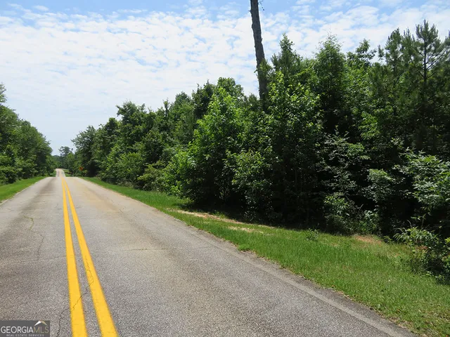 a view of a yard with potted plants