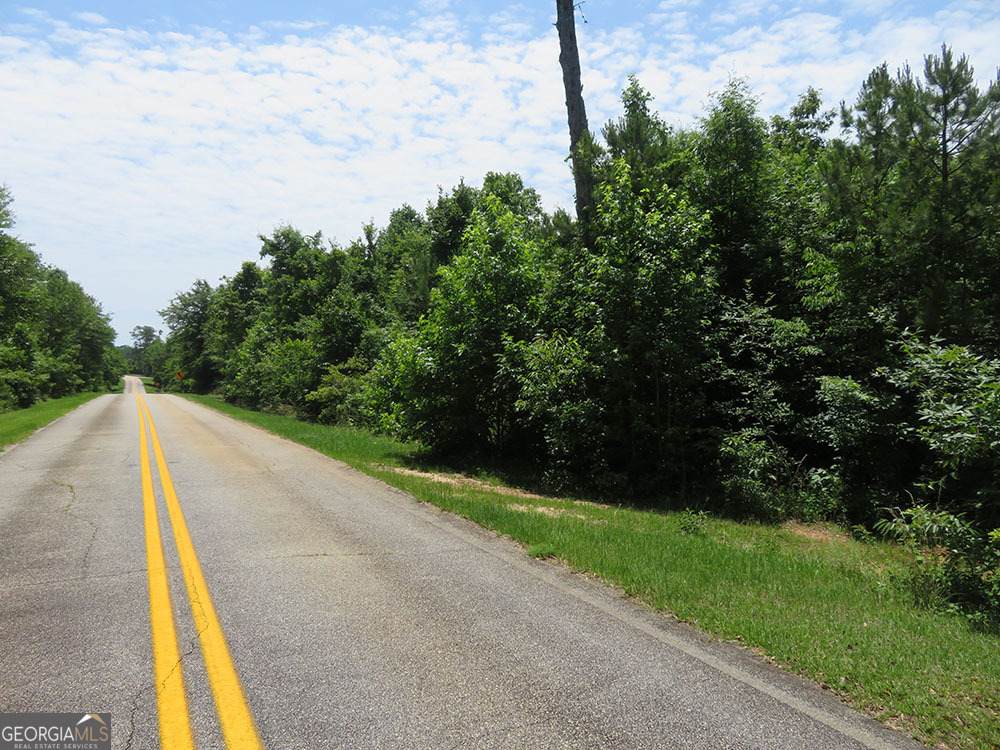 1 Cool Branch Road Georgetown, GA 39854 - Photo 7 of 7 a view of a yard with potted plants
