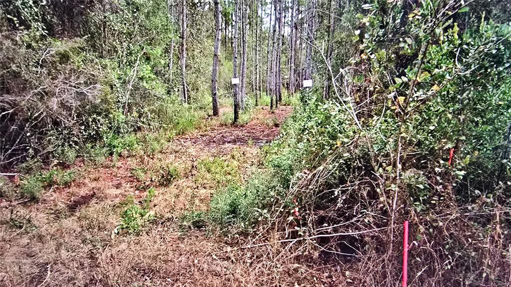 0 Memory Lane Milton, FL 32583 - Photo 3 of 6
