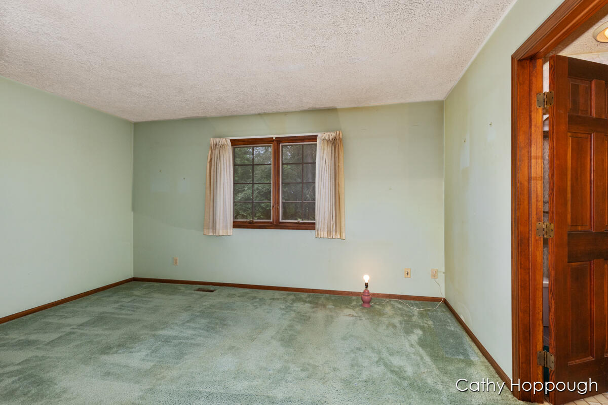 735 Prairie Creek Road Ionia, MI 48846 - Photo 22 of 81