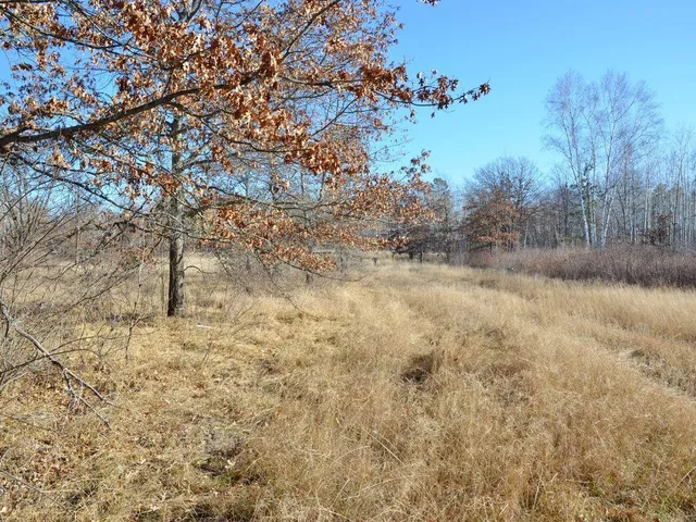 $499,900 | 32 County 32, Park Rapids, MN 56470